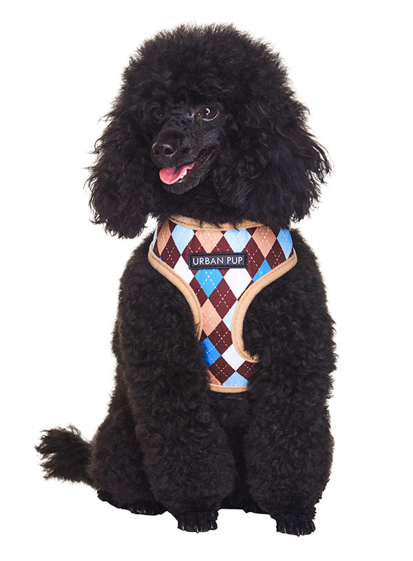 BLUE & BROWN ARGYLE DOG HARNESS, Harness - Bones Bizzness