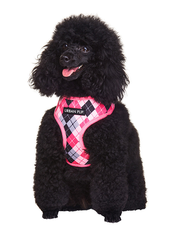 PINK ARGYLE DOG HARNESS, Harness - Bones Bizzness