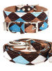 BROWN & BLUE ARGYLE DOG COLLAR & LEASH SET, Collars - Bones Bizzness