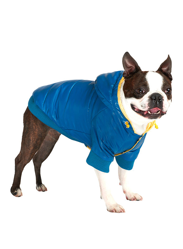 BLUE PATHFINDER INSULATED PANEL DOG COAT