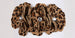 SUSAN LANCI TINKIES GARDEN DOG COLLAR- (42 COLORS), Collars - Bones Bizzness