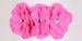 SUSAN LANCI TINKIES GARDEN DOG COLLAR- (42 COLORS), Collars - Bones Bizzness