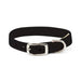 CRYSTAL PAWS ULTRASUEDE DOG COLLAR BY SUSAN LANCI - (53 COLORS), Collars - Bones Bizzness