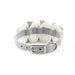SPECIAL OCCASION DOG COLLAR, Collars - Bones Bizzness