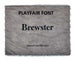 PERSONALIZED SUSAN LANCI DOG BLANKET