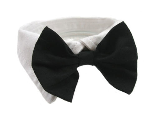 BLACK SATIN DOG BOW TIE AND COLLAR, ACCESSORIES - Bones Bizzness