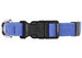 SUSAN LANCI QUICK RELEASE ULTRASUEDE DOG COLLARS - (42 COLORS), Collars - Bones Bizzness