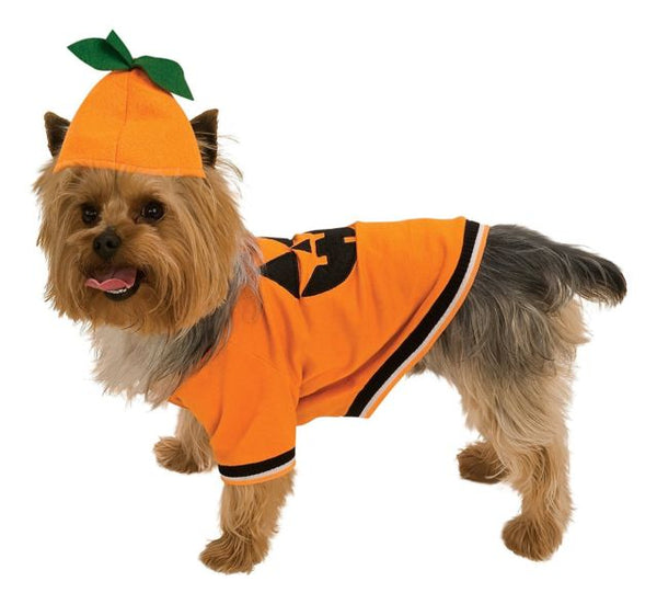 PUMPKIN PET DOG COSTUME, Costume - Bones Bizzness