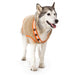 CITY V-NECK DOG SWEATER BEIGE, Sweaters - Bones Bizzness