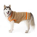 CITY V-NECK DOG SWEATER BEIGE, Sweaters - Bones Bizzness