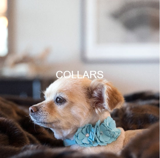 TIFFI BLUE TINKIE DOG COLLAR BY SUSAN LANCI, Collars - Bones Bizzness