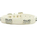 FAUX CROC CRYSTAL BONE DOG COLLAR - Bones Bizzness