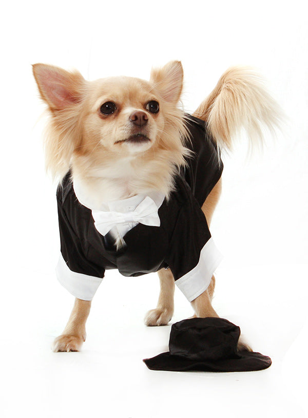 BIG DAY DOG TUXEDO W/ BOW TIE COLLAR, Costume - Bones Bizzness