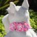 ALEXANDRA DOG COLLAR BY SUSAN LANCI 1/2", Collars - Bones Bizzness