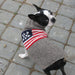 AMERICAN FLAG DOG SWEATER - Bones Bizzness