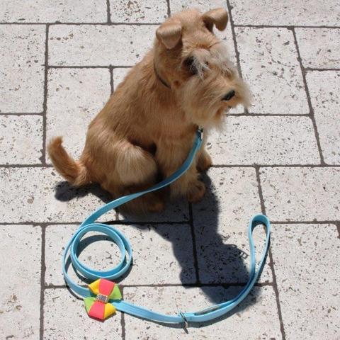 ANGLEA DOG LEASH, SUSAN LANCI LEASHES - Bones Bizzness