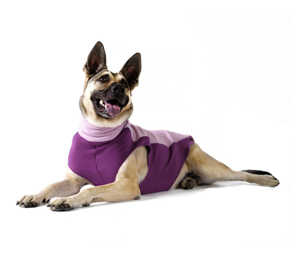 LILAC/EGGPLANT PORTLAND PULLOVER-REDUX