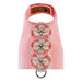 SPECIAL OCCASION BAILEY DOG HARNESS, Harness - Bones Bizzness