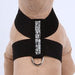 CRYSTAL ROCK TINKIE DOG HARNESS (42 COLORS), Harness - Bones Bizzness