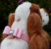 BIG BOW SWAROVSKI CRYSTAL DOG COLLAR - (53- COLORS), Collars - Bones Bizzness