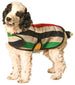 Grey Stripe Dog Blanket Coat, Sweaters - Bones Bizzness