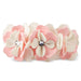 SPECIAL OCCASION DOG COLLAR, Collars - Bones Bizzness