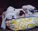 YELLOW TRADITIONS BLUE DOG BED, Beds - Bones Bizzness