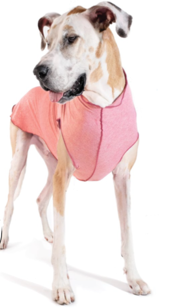 CORAL HEATHER SUN SHIELD DOG TEE