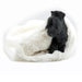 CREAM SMOOTH WITH CREAM SHAG CUDDLE CUP DOG BED, Beds - Bones Bizzness