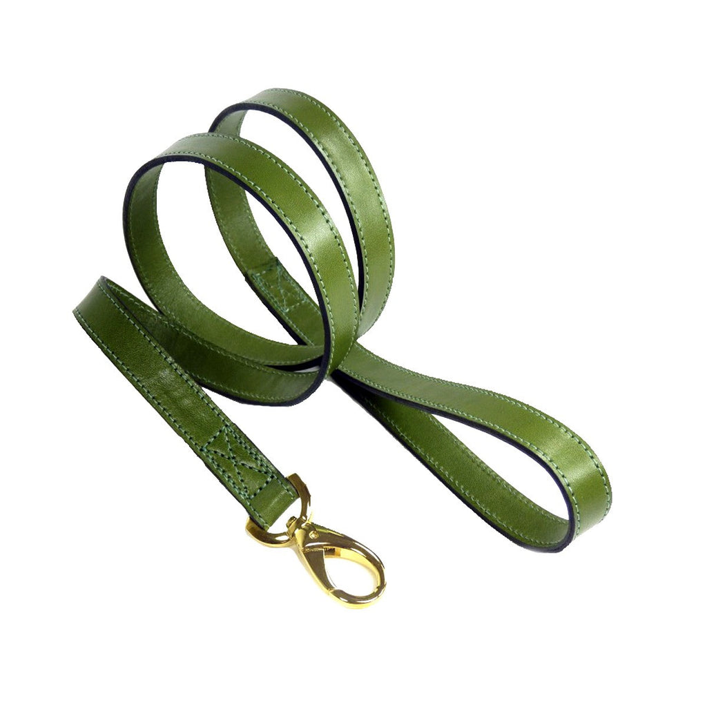DAISY DOG LEAD IN LIME GREEN, Leash - Bones Bizzness
