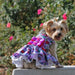 PURPLE & RED FLORAL DOG DRESS WITH MATCHING LEASH