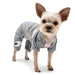 BIRD DOGO DOG PJ'S