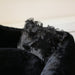 BLACK DIVINE DOG BED, Beds - Bones Bizzness