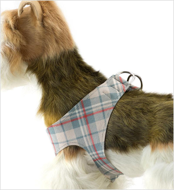 DOE SCOTTY PLAID PLAIN STEP-IN HARNESS, Harness - Bones Bizzness