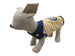 DOG BARKS BORDER TANK - YELLOW