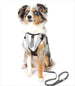 EASYGO NECKTIE DOG HARNESS, Harness - Bones Bizzness