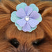 EMMA DOG COLLAR BY SUSAN LANCI 1/2", Collars - Bones Bizzness