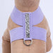 CRYSTAL ROCK TINKIE DOG HARNESS (53 COLORS), Harness - Bones Bizzness