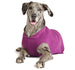 ORIGINAL GOLD PAW STRETCH DOG FLEECE (22 COLORS), Sweaters - Bones Bizzness