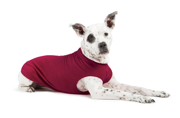 GARNET GOLD PAW STRETCH PLAID DOG FLEECE, Sweaters - Bones Bizzness