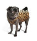 LEOPARD GOLD PAW STRETCH DOG FLEECE