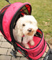 REGAL PLUS PET STROLLER - GREY, STROLLERS - Bones Bizzness