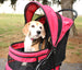 REGAL PLUS PET STROLLER - GREY, STROLLERS - Bones Bizzness