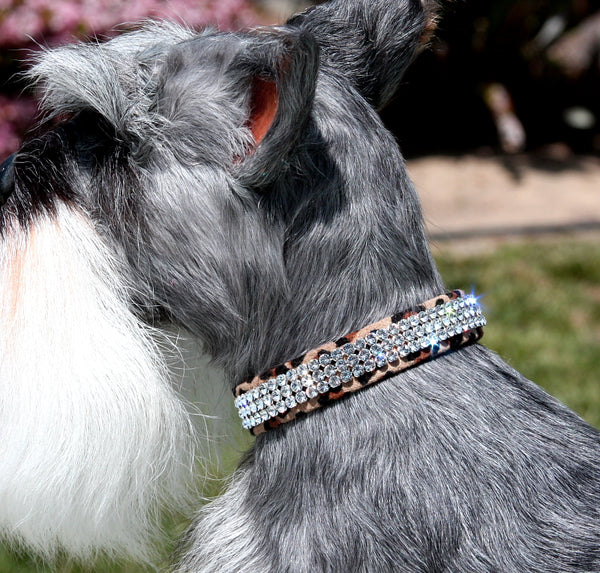 GILTMORE 3 ROW PERFECT FIT ULTRASUEDE DOG COLLARS - CHEETAH, Collars - Bones Bizzness
