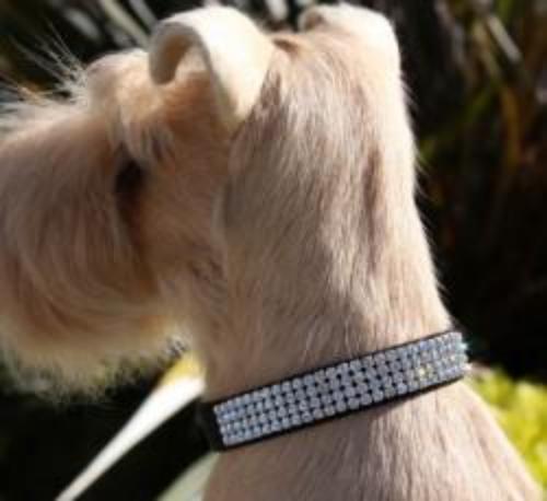 GILTMORE 4 ROW CRYSTAL ULTRASUEDE DOG COLLAR - (53 COLORS), Collars - Bones Bizzness