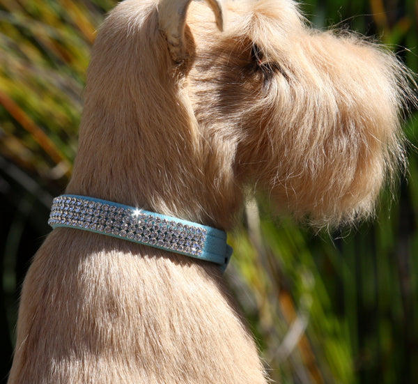 GILTMORE 4 ROW CRYSTAL ULTRASUEDE DOG COLLAR - TIFFI BLUE, Collars - Bones Bizzness