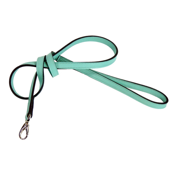 GEORGIA ROSE DOG LEAD IN TURQUOISE & NICKEL, Leash - Bones Bizzness