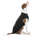 ORIGINAL GOLD PAW STRETCH DOG FLEECE (22 COLORS), Sweaters - Bones Bizzness