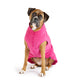 ORIGINAL GOLD PAW STRETCH DOG FLEECE (22 COLORS), Sweaters - Bones Bizzness