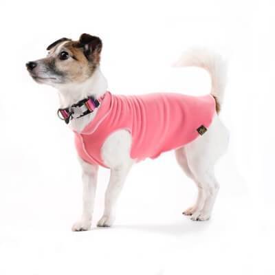 GOLD PAW STRETCH CORAL DOG FLEECE